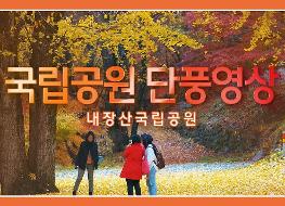 내장산국립공원 단풍영상.JPG